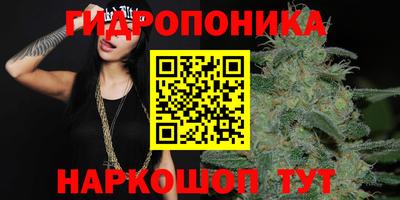 мдма Гатчина