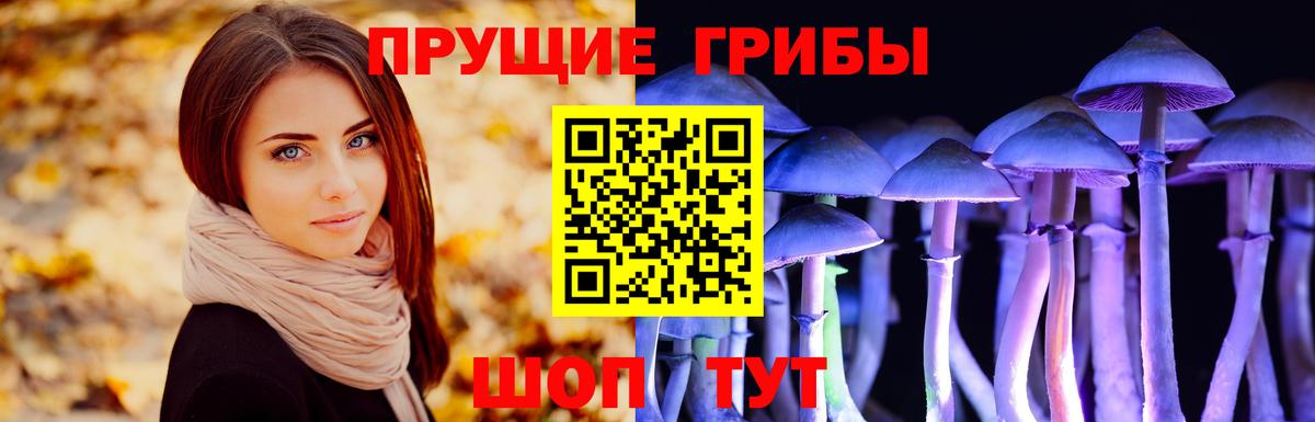 Псилоцибиновые грибы мухоморы  Вход с VPN  Галлюциногенные грибы Psilocybe  Муравленко 